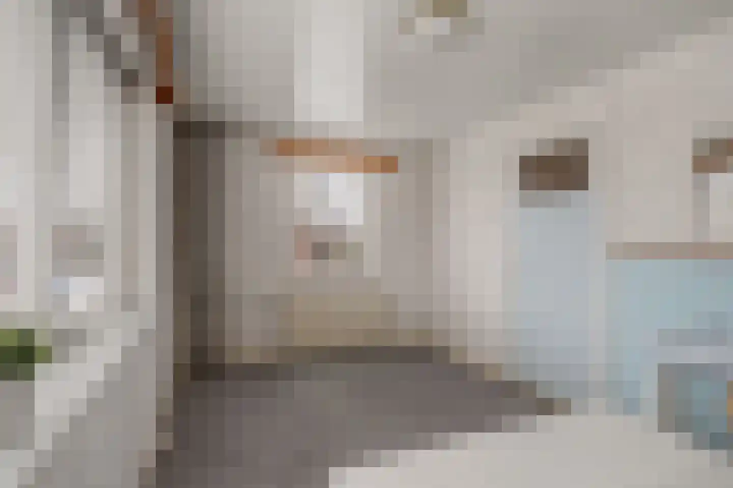 Breemarsweg 40 Hengelo thumbnail 13