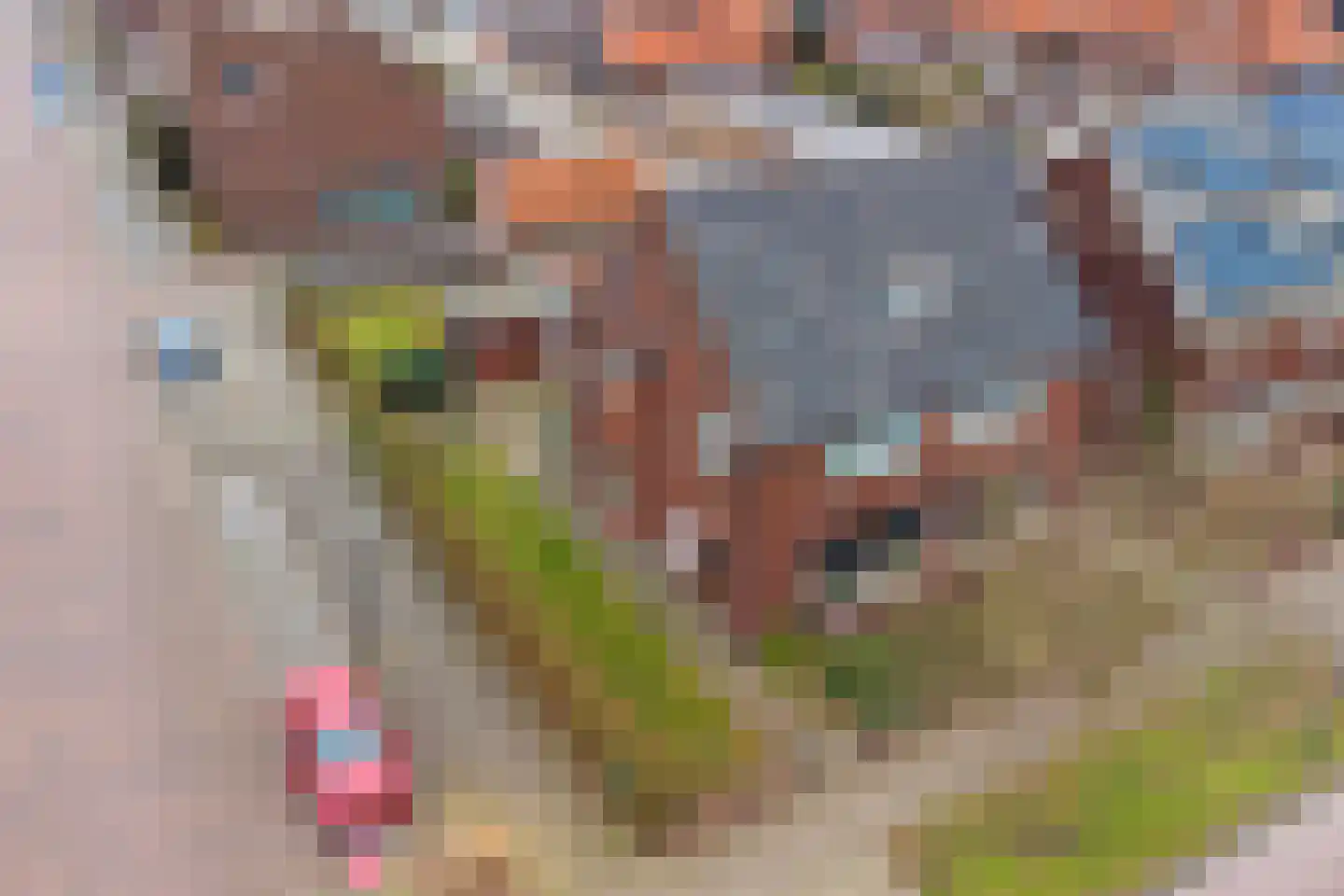 Breemarsweg 40 Hengelo thumbnail 33