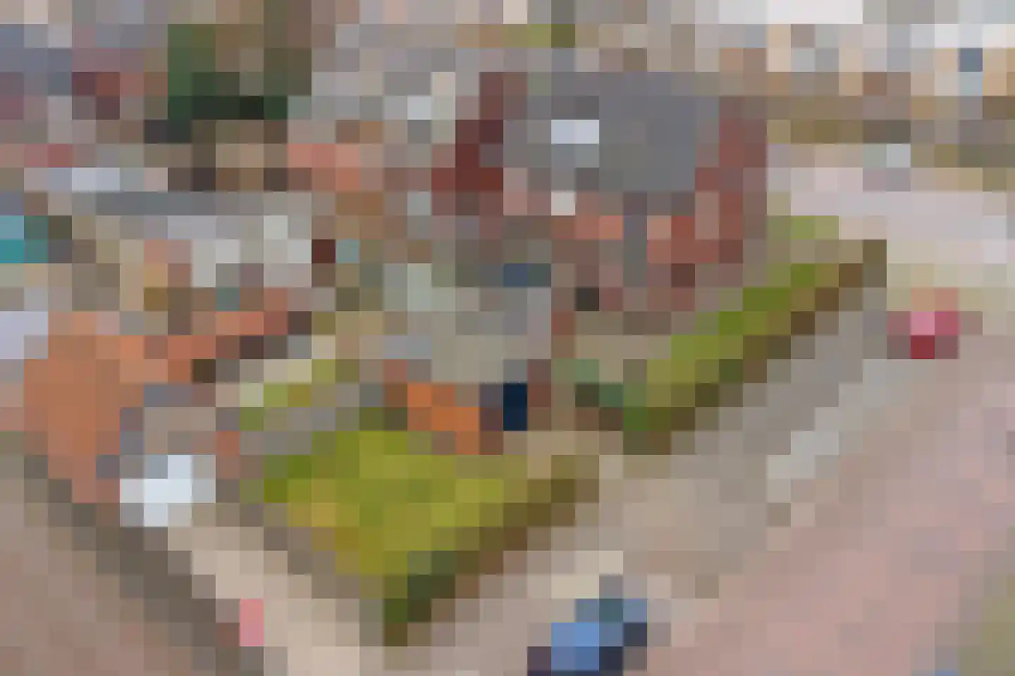 Breemarsweg 40 Hengelo thumbnail 35