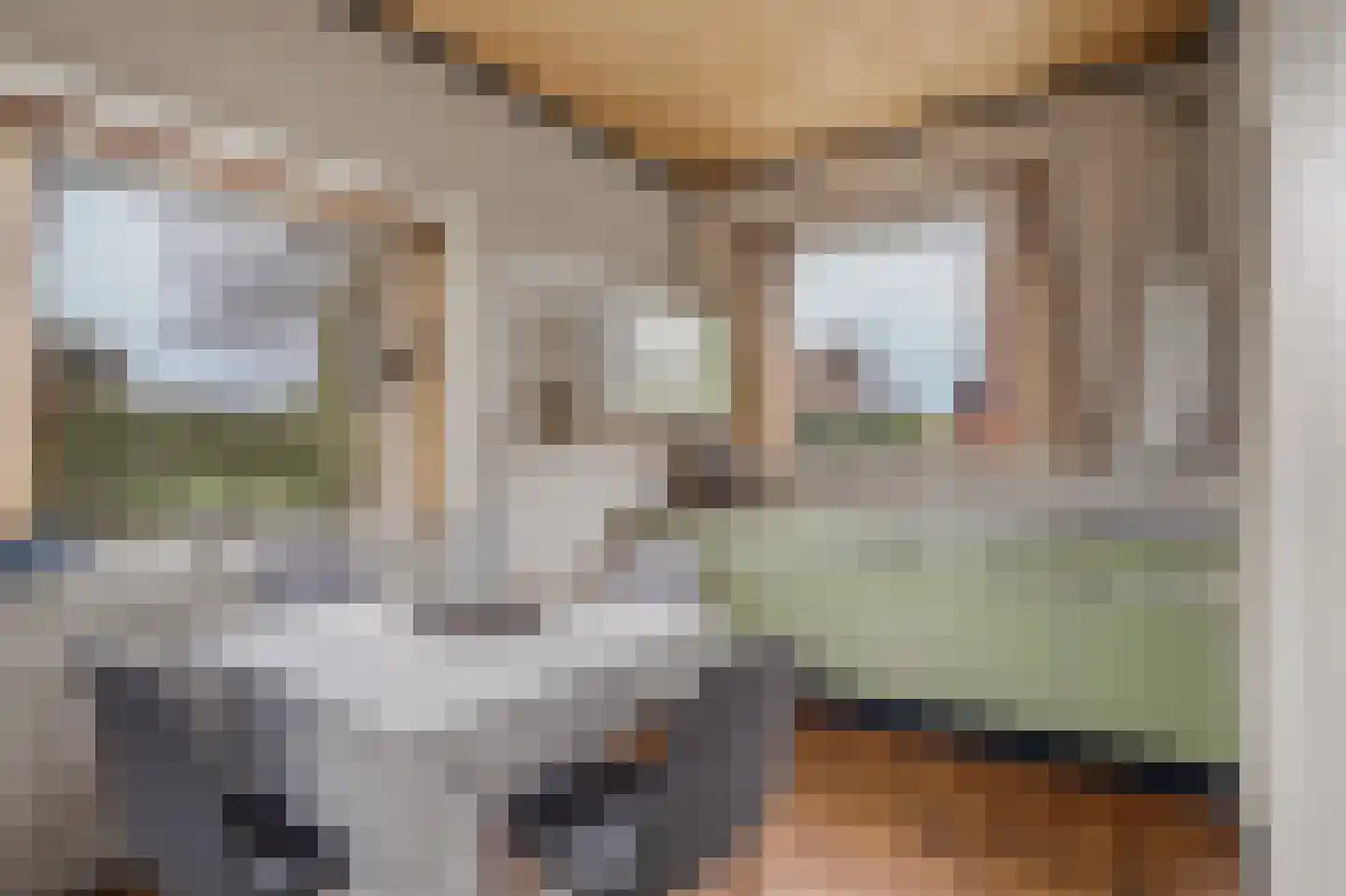Breemarsweg 40 Hengelo thumbnail 5