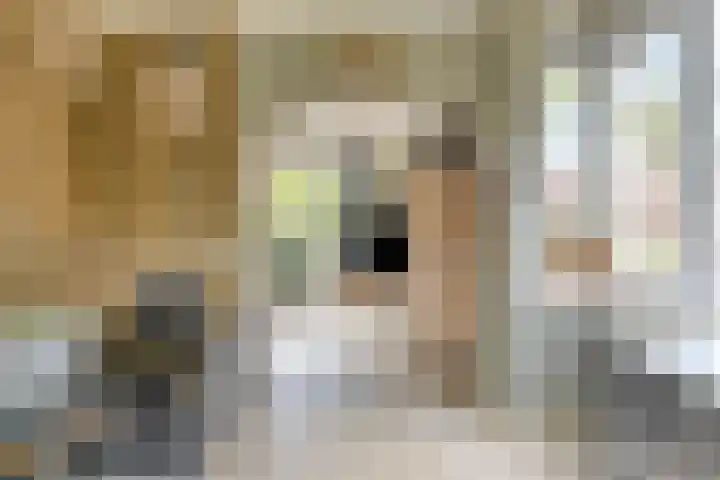 Breemarsweg 419 Hengelo thumbnail 13