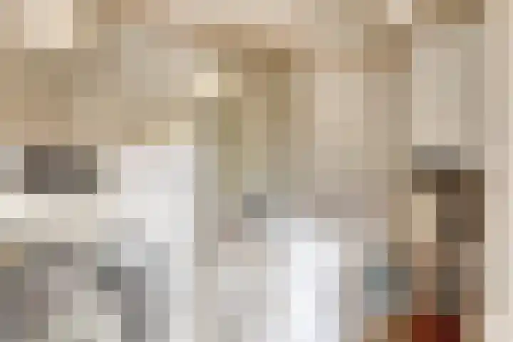 Breemarsweg 419 Hengelo thumbnail 20