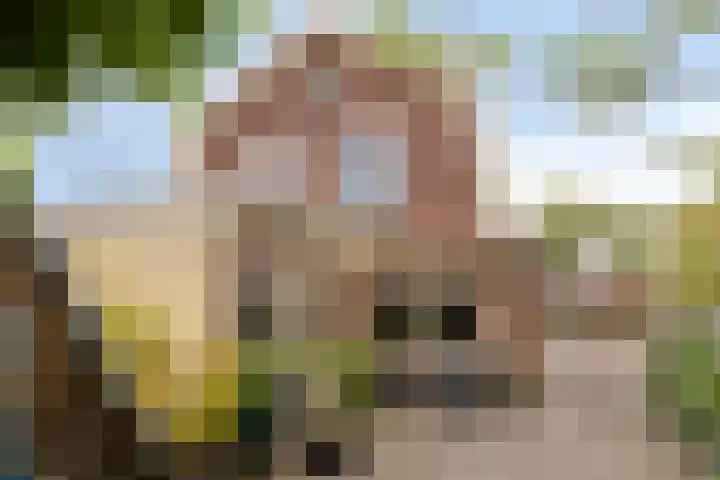 Breemarsweg 419 Hengelo thumbnail 30