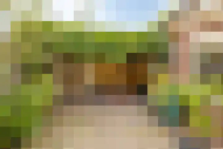 Breemarsweg 419 Hengelo thumbnail 31