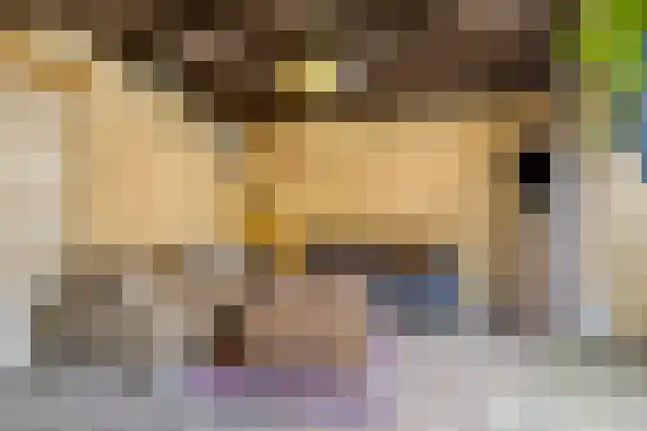 Breemarsweg 419 Hengelo thumbnail 32
