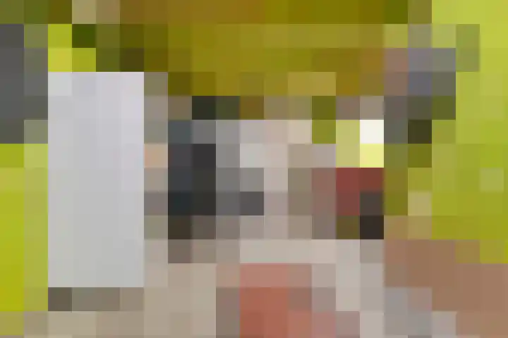 Breemarsweg 419 Hengelo thumbnail 33