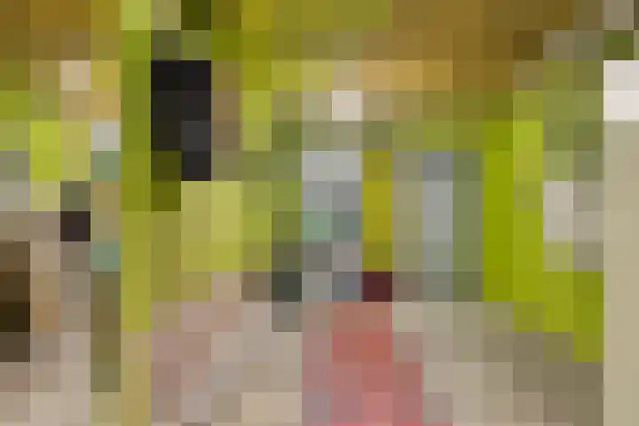 Breemarsweg 419 Hengelo thumbnail 34
