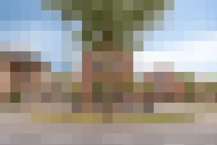 Breemarsweg 419 Hengelo thumbnail 36