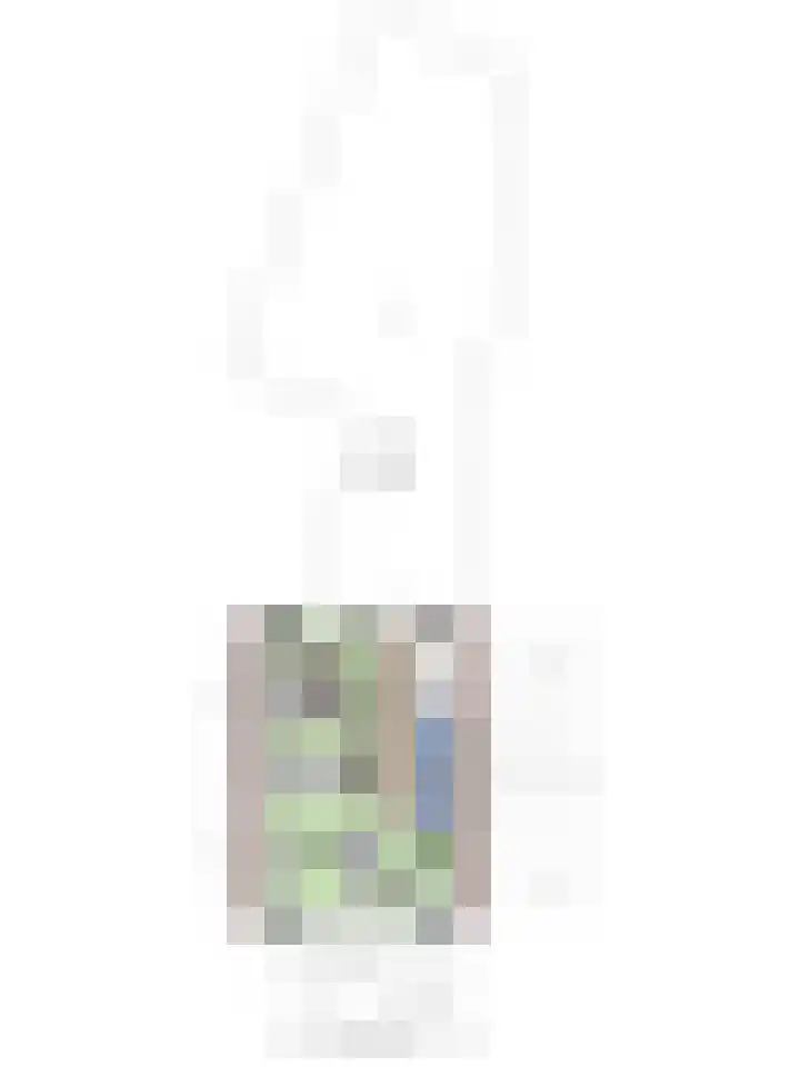 Breemarsweg 419 Hengelo thumbnail 42