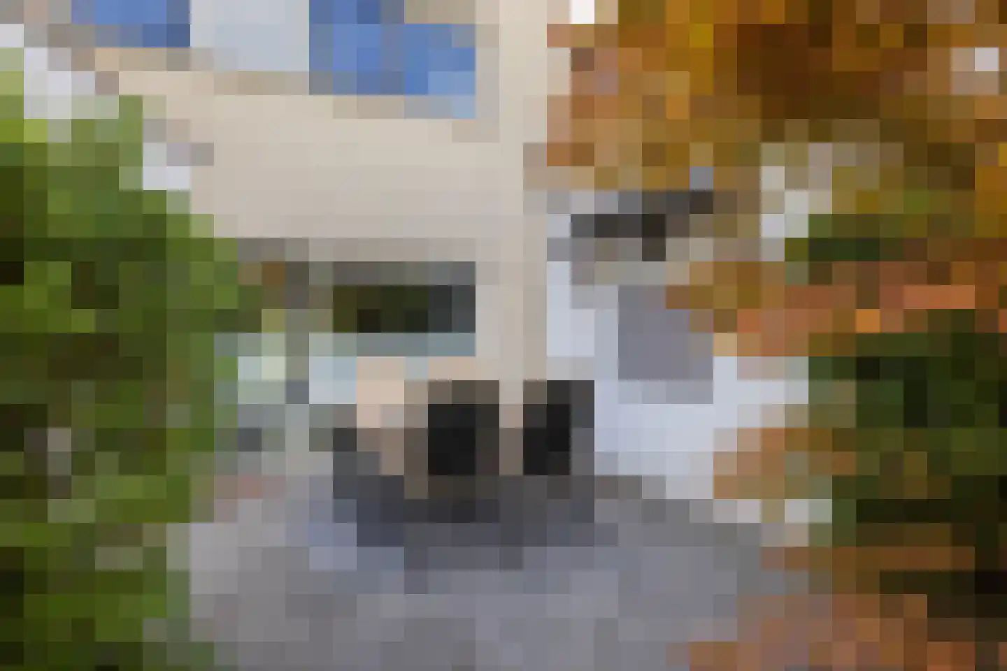Breemarsweg 428 Hengelo thumbnail 29