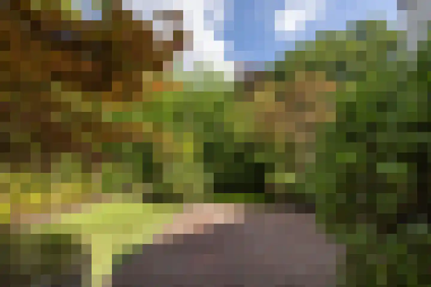 Breemarsweg 428 Hengelo thumbnail 32