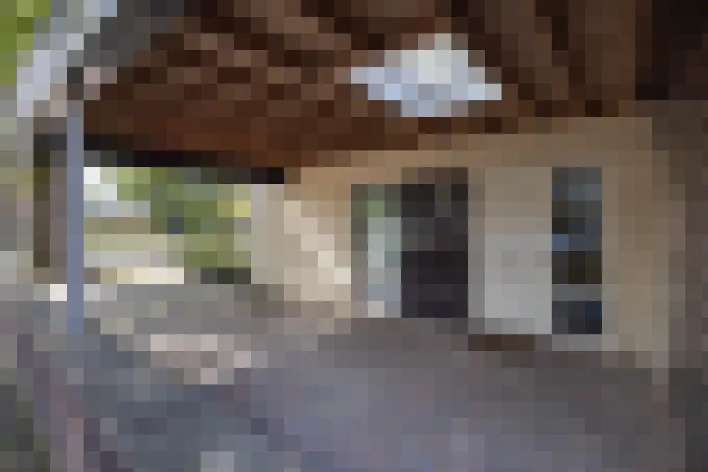 Breemarsweg 428 Hengelo thumbnail 33