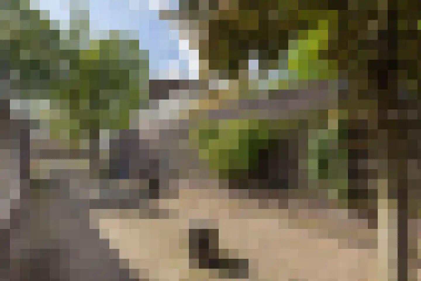 Breemarsweg 428 Hengelo thumbnail 36