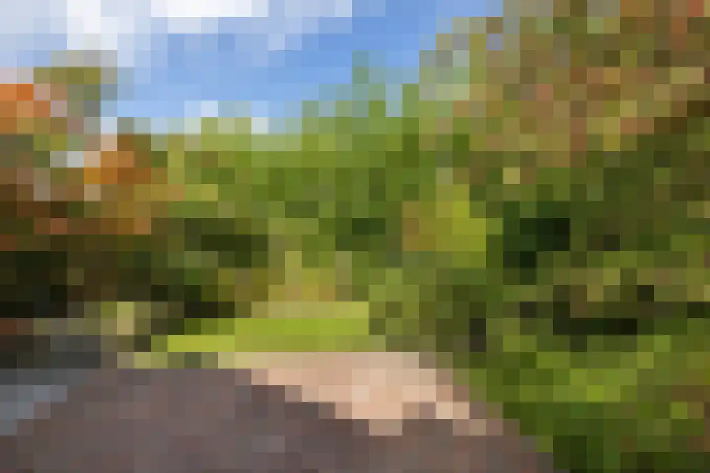 Breemarsweg 428 Hengelo thumbnail 4