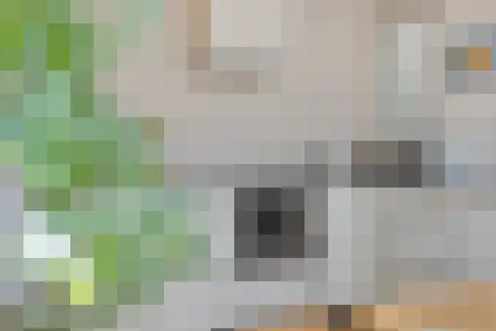 Breemarsweg 451 Hengelo thumbnail 20