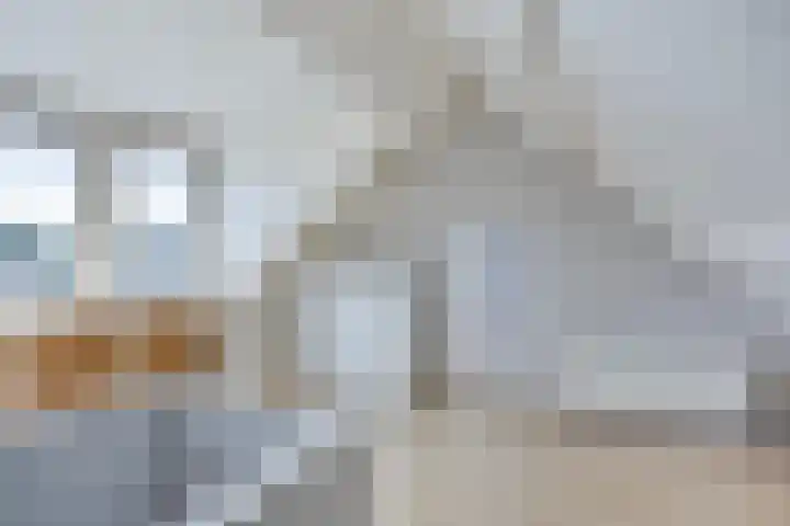 Breemarsweg 451 Hengelo thumbnail 33