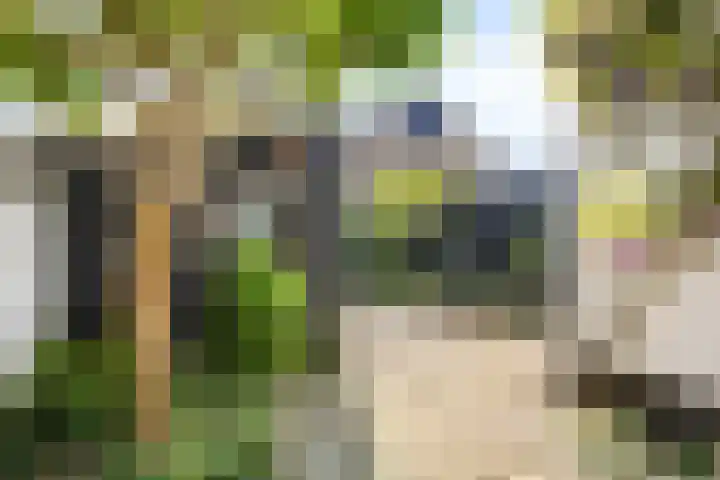 Breemarsweg 451 Hengelo thumbnail 36
