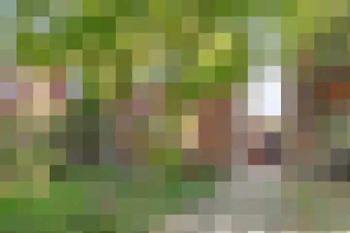 Breemarsweg 451 Hengelo thumbnail 4