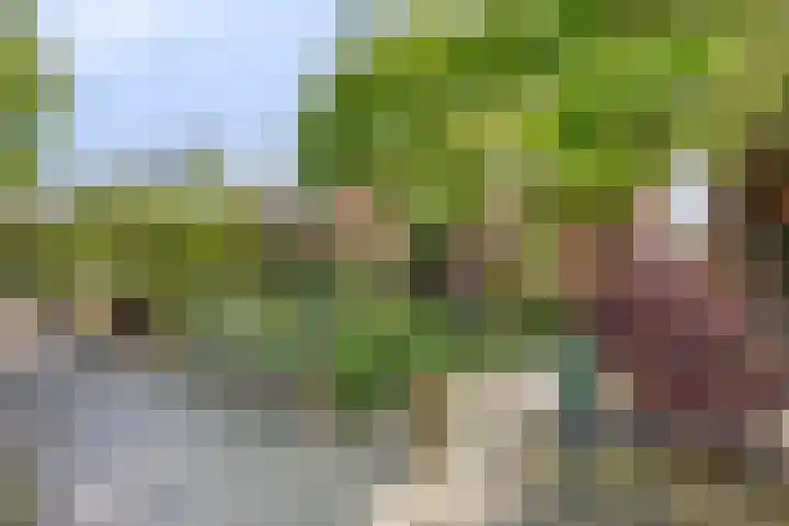 Breemarsweg 451 Hengelo thumbnail 40