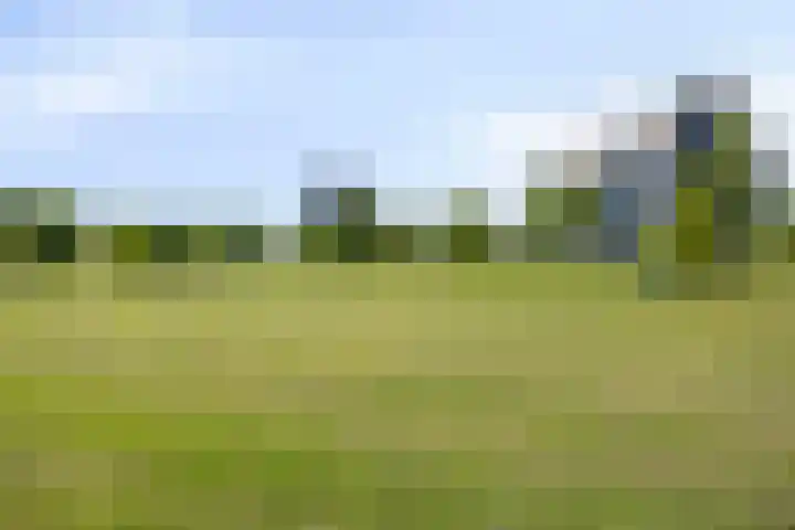 Breemarsweg 451 Hengelo thumbnail 41