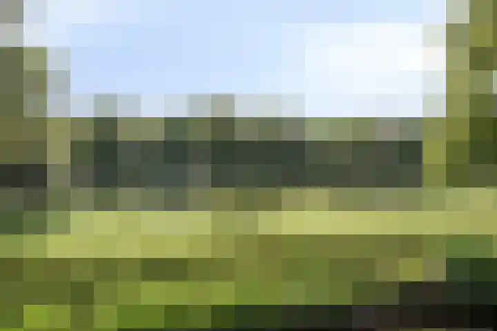 Breemarsweg 451 Hengelo thumbnail 42