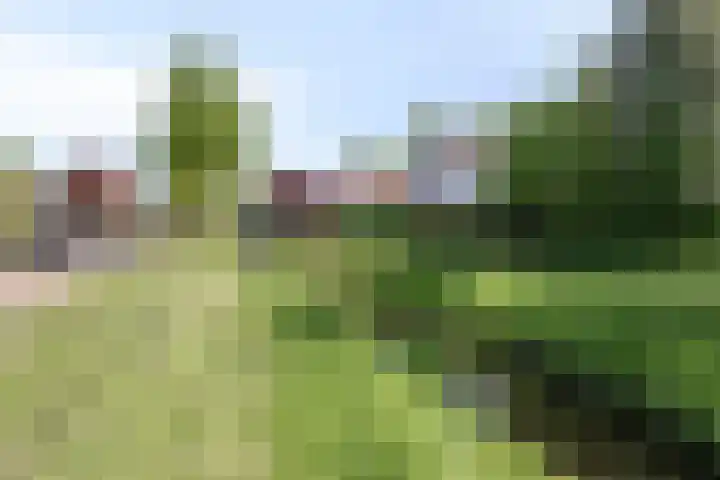 Breemarsweg 451 Hengelo thumbnail 43