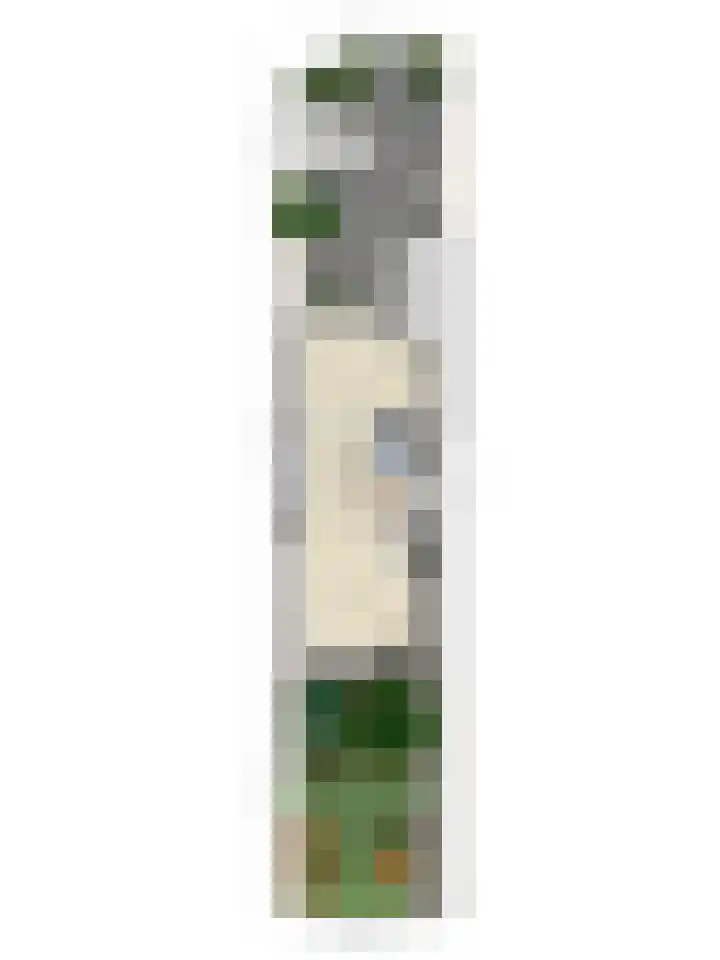 Breemarsweg 451 Hengelo thumbnail 44