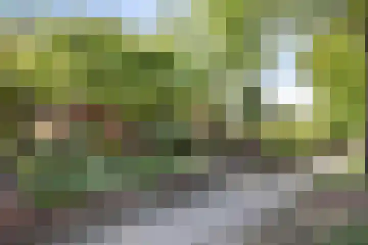 Breemarsweg 451 Hengelo thumbnail 5