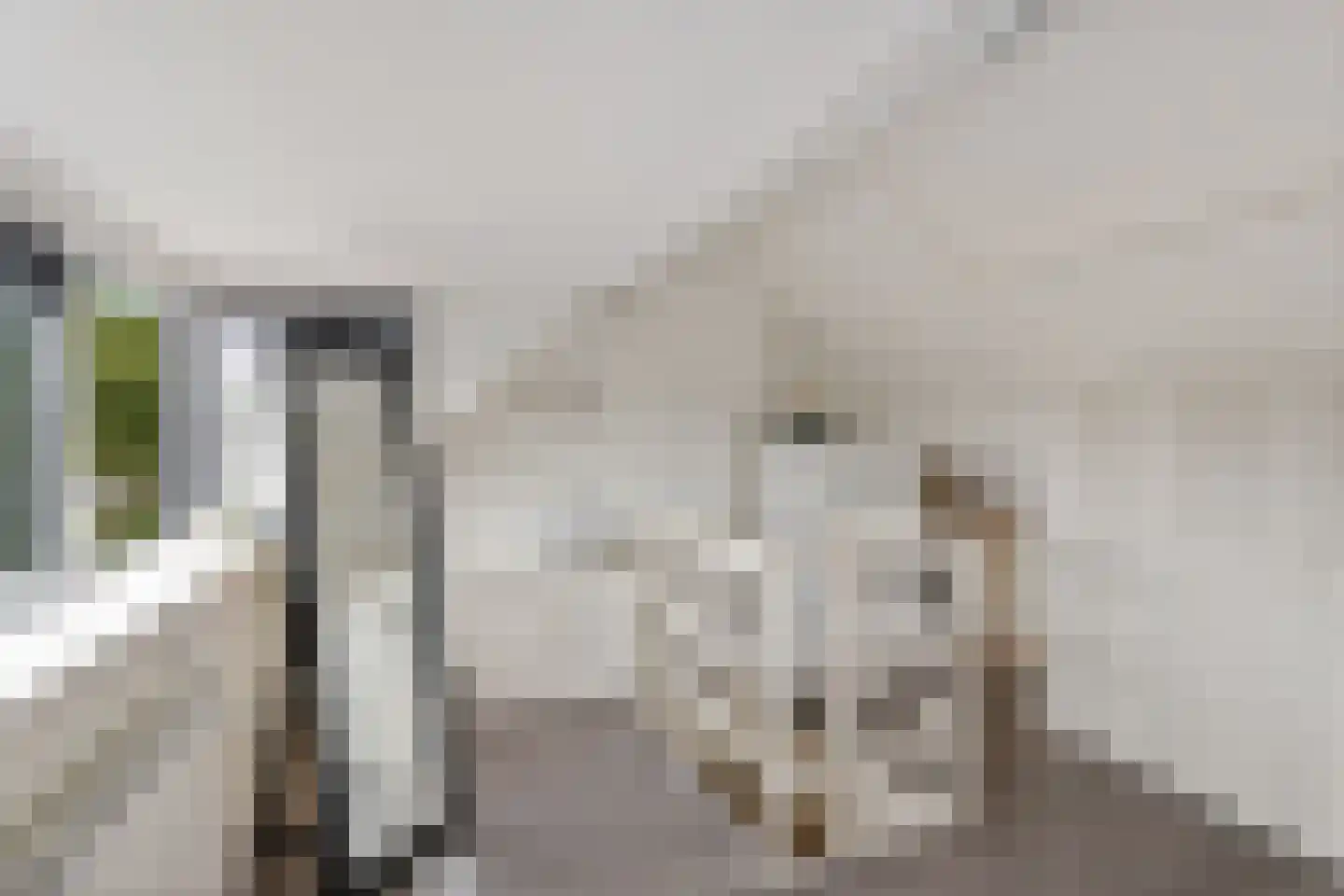 Breemarsweg 473 Hengelo thumbnail 25
