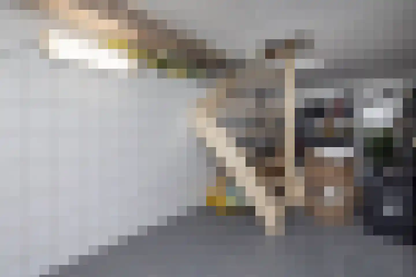 Breemarsweg 481 Hengelo thumbnail 19