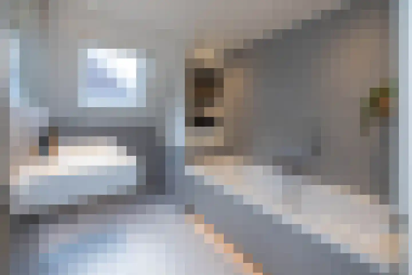 Breemarsweg 481 Hengelo thumbnail 26