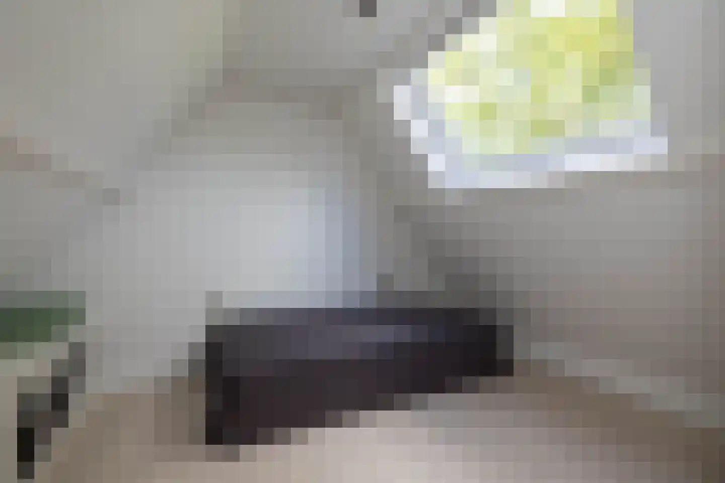 Breemarsweg 481 Hengelo thumbnail 33