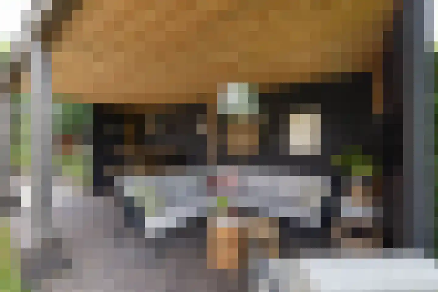 Breemarsweg 481 Hengelo thumbnail 39