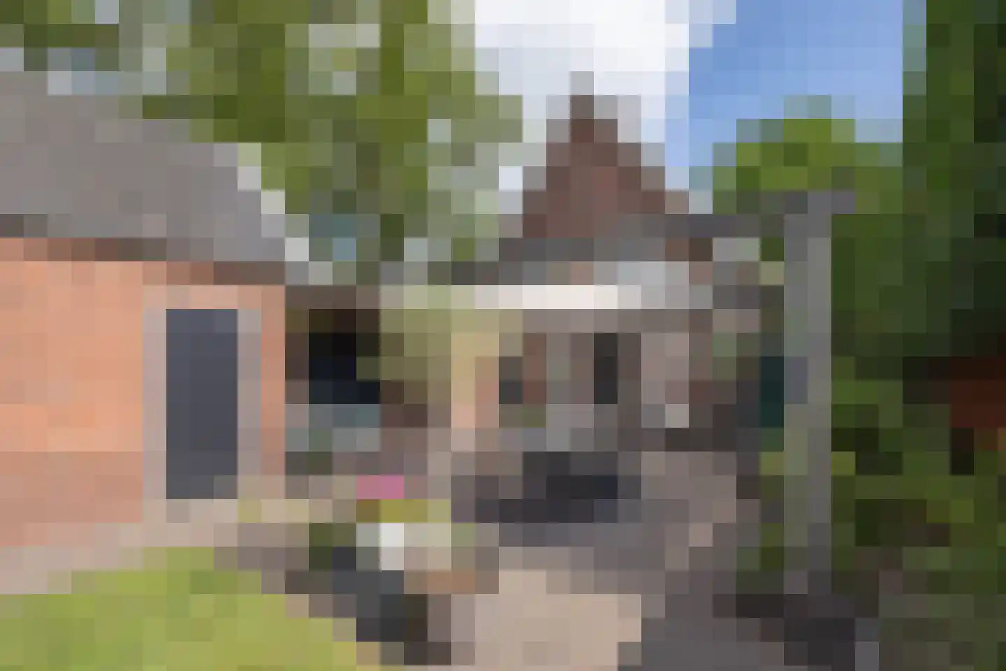 Breemarsweg 481 Hengelo thumbnail 45
