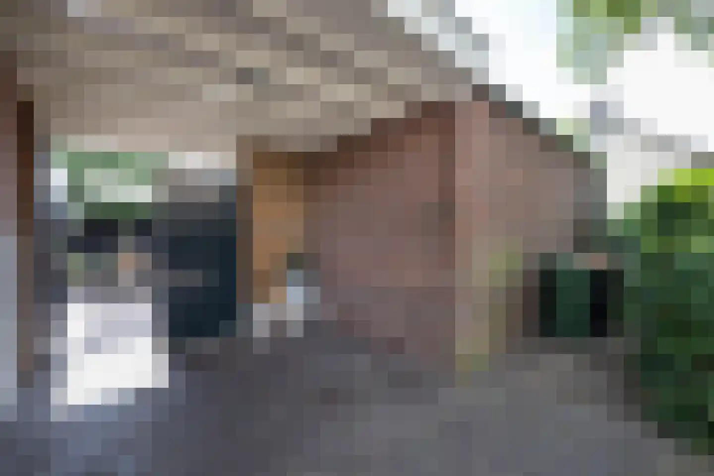 Breemarsweg 481 Hengelo thumbnail 48