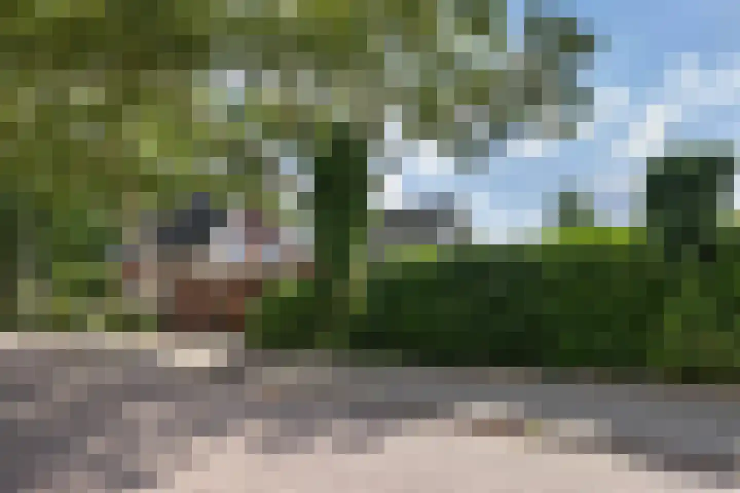 Breemarsweg 481 Hengelo thumbnail 50