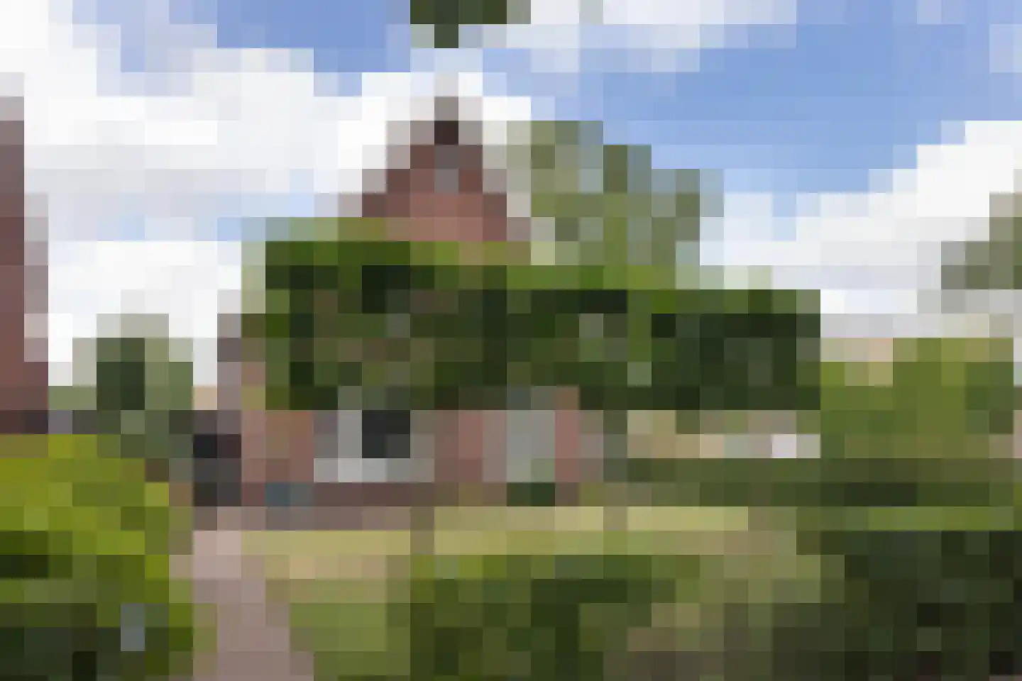 Breemarsweg 481 Hengelo thumbnail 51