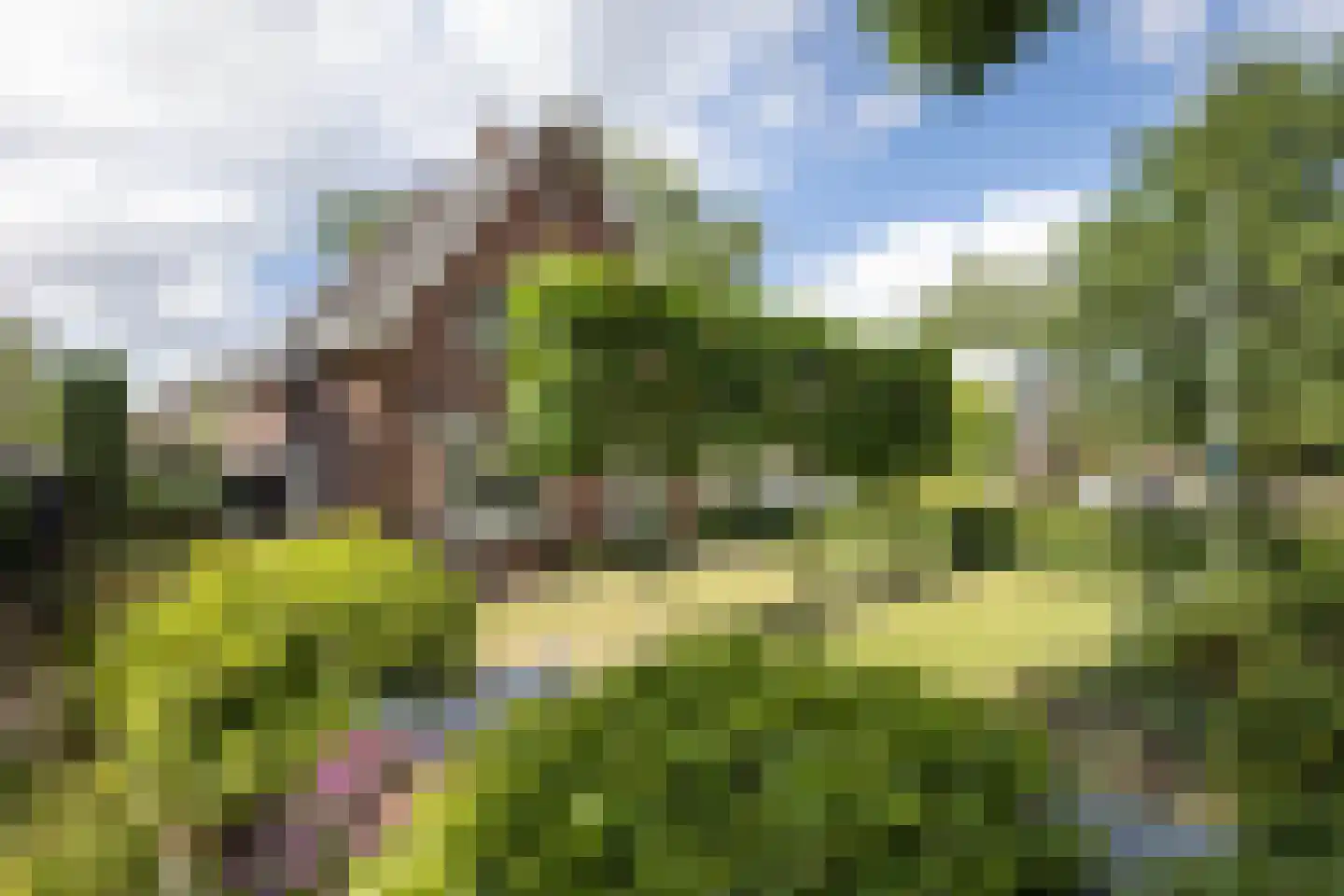 Breemarsweg 481 Hengelo thumbnail 52