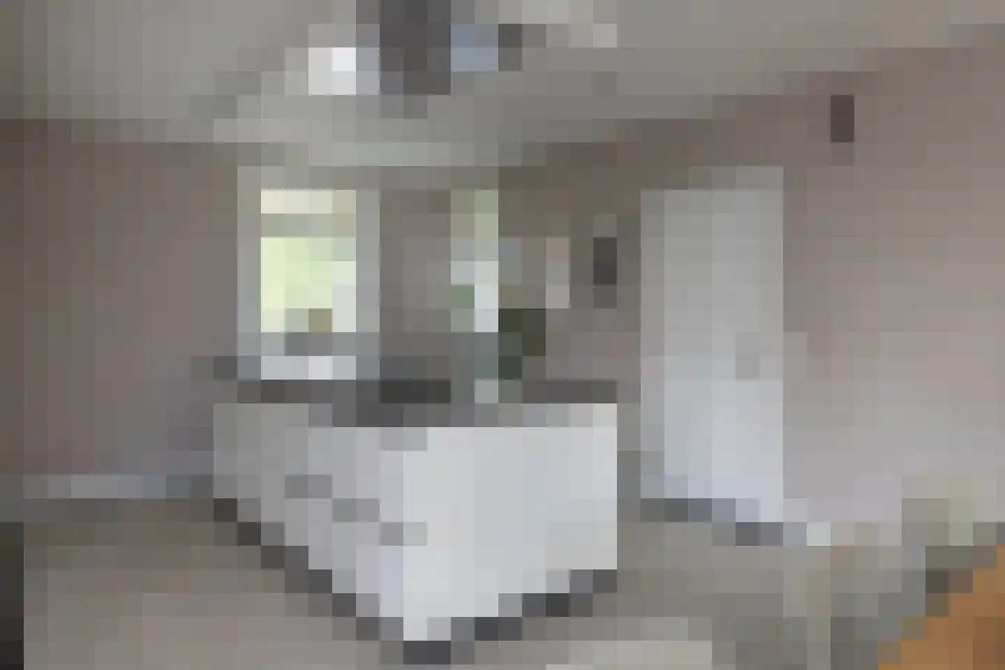 Breemarsweg 481 Hengelo thumbnail 6