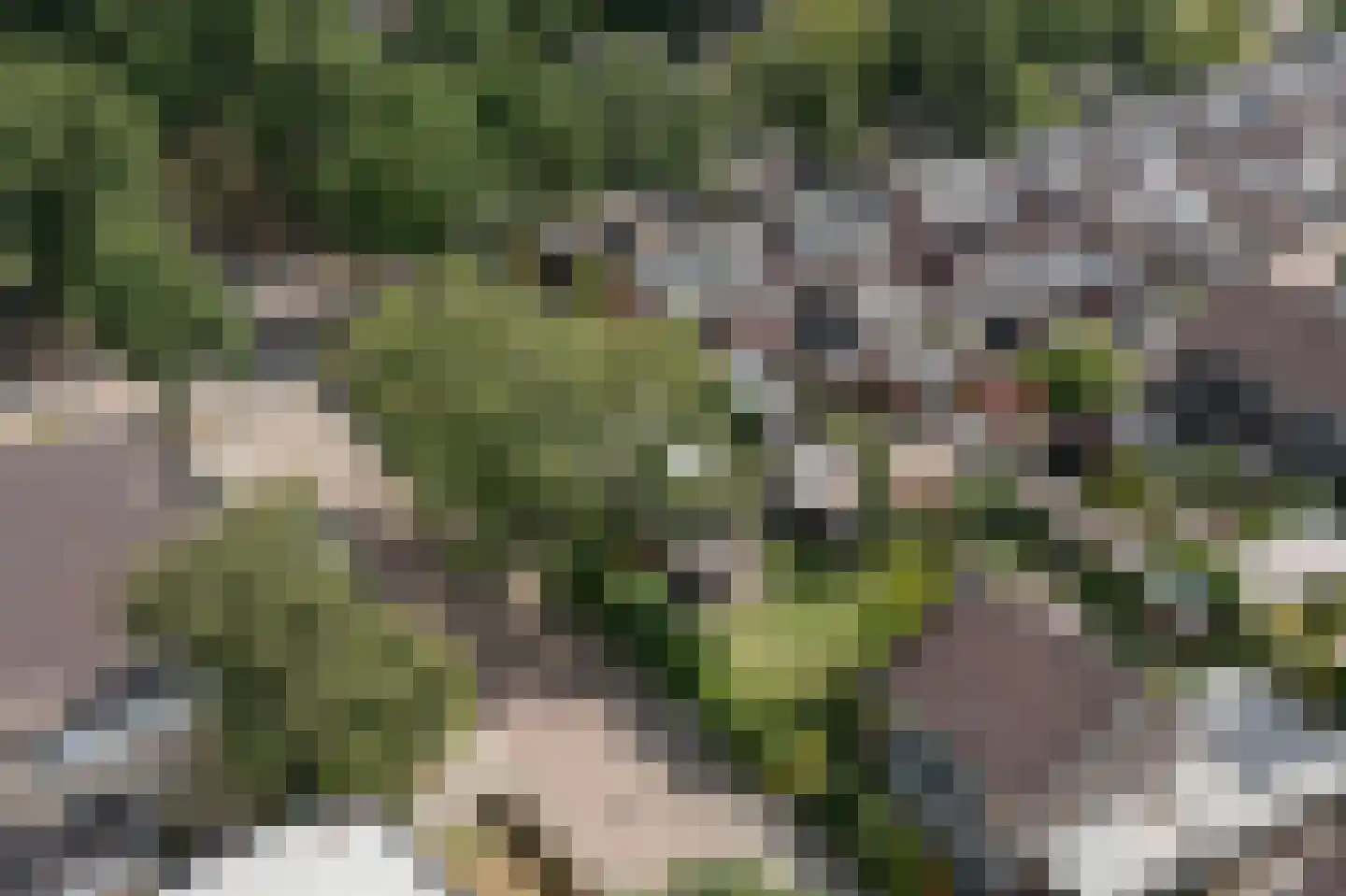 Breemarsweg 481 Hengelo thumbnail 60