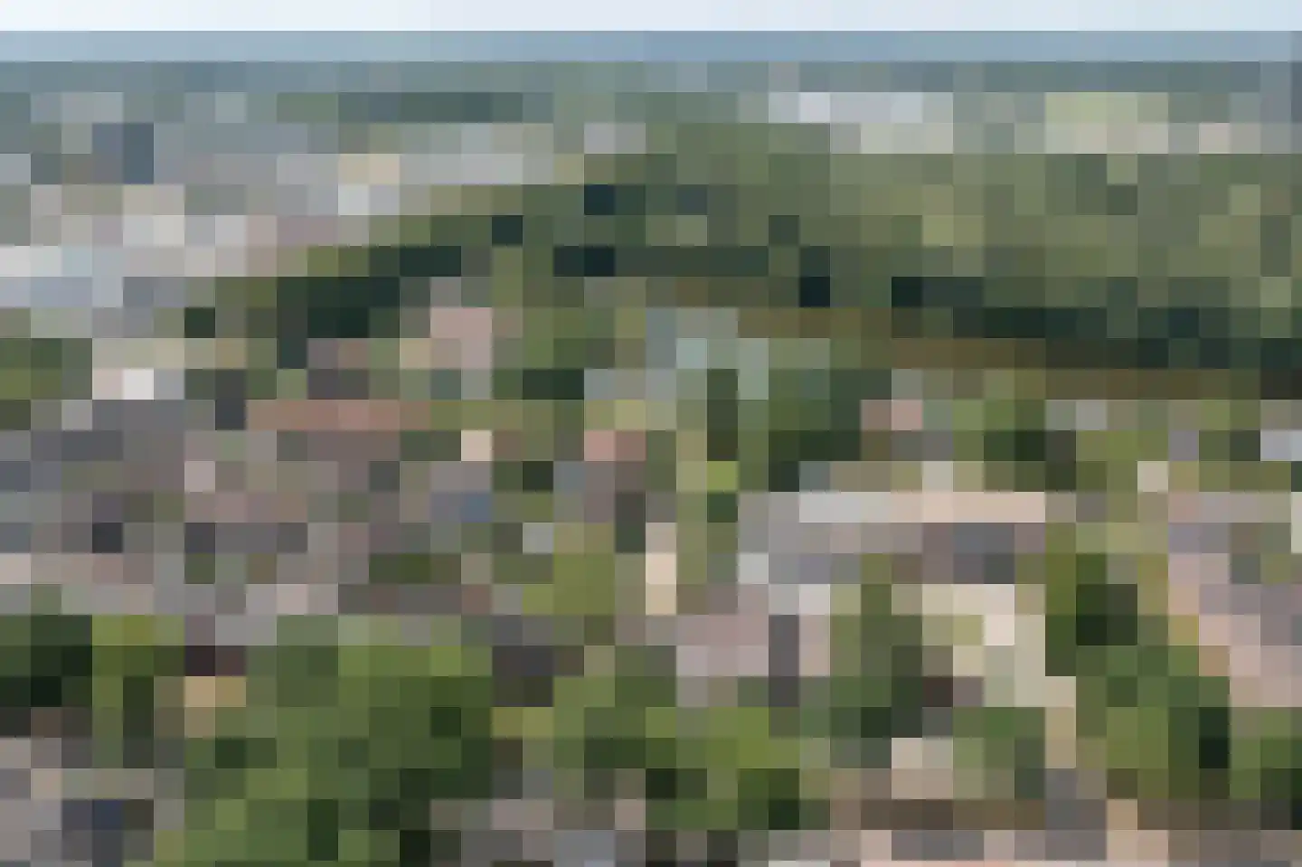 Breemarsweg 481 Hengelo thumbnail 62
