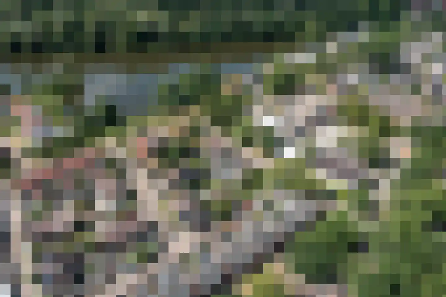 Breemarsweg 481 Hengelo thumbnail 63