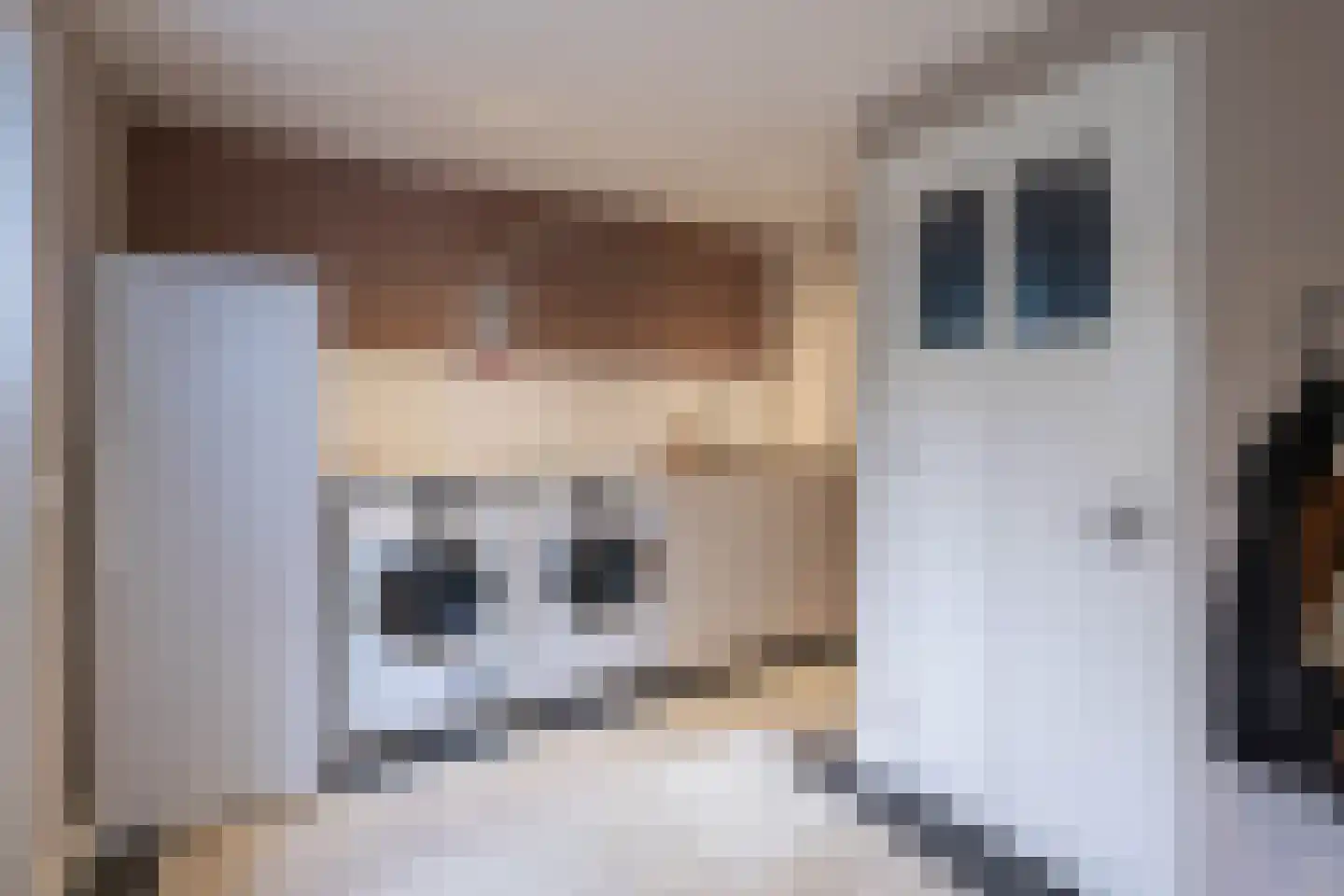 Breemarsweg 481 Hengelo thumbnail 9