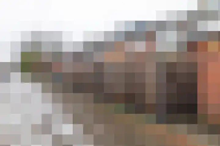 Breemarsweg 493 Hengelo thumbnail 28