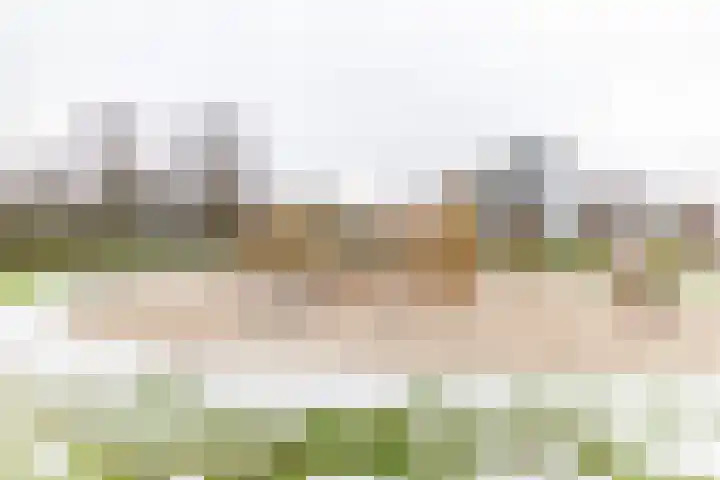 Breemarsweg 493 Hengelo thumbnail 30