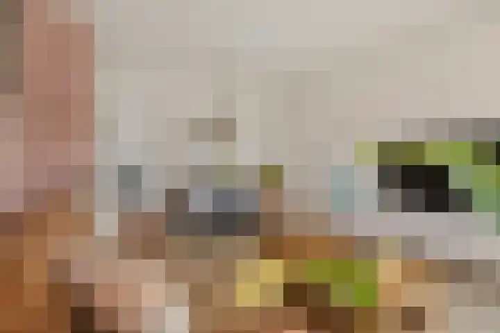 Breemarsweg 510 Hengelo thumbnail 11