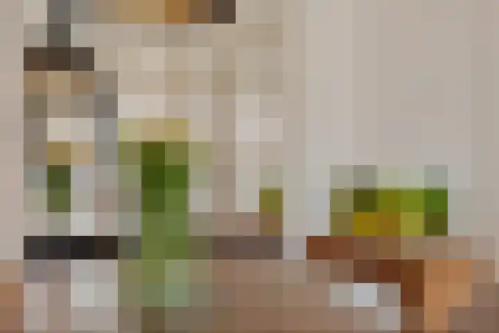 Breemarsweg 510 Hengelo thumbnail 13