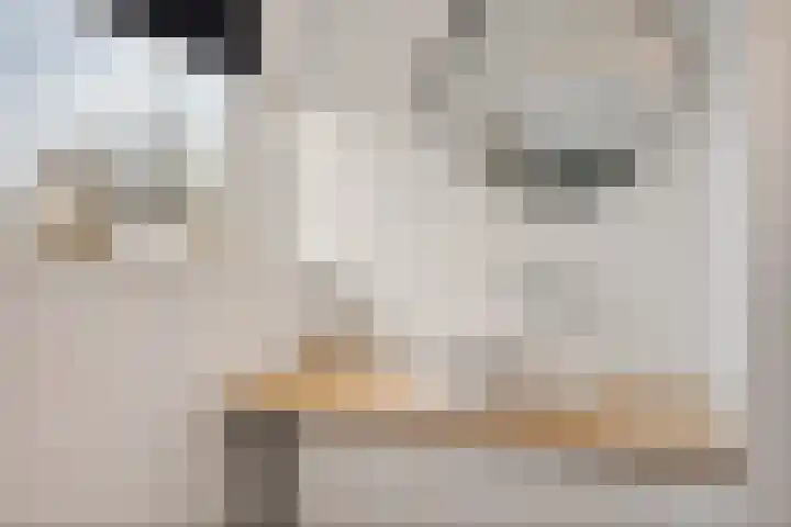 Breemarsweg 510 Hengelo thumbnail 25