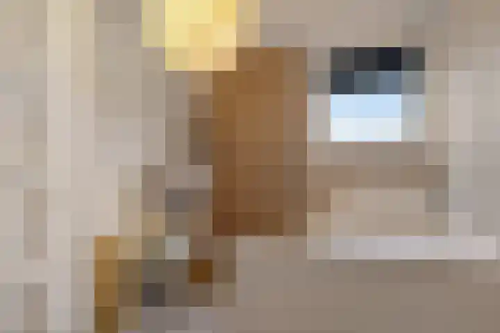 Breemarsweg 510 Hengelo thumbnail 29
