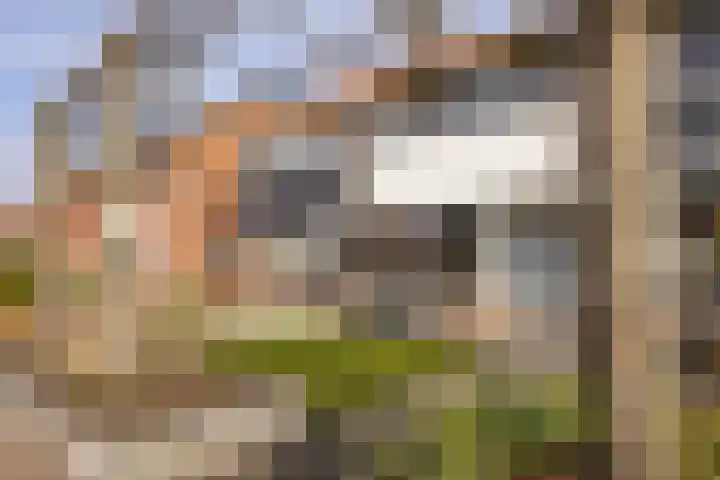 Breemarsweg 510 Hengelo thumbnail 5